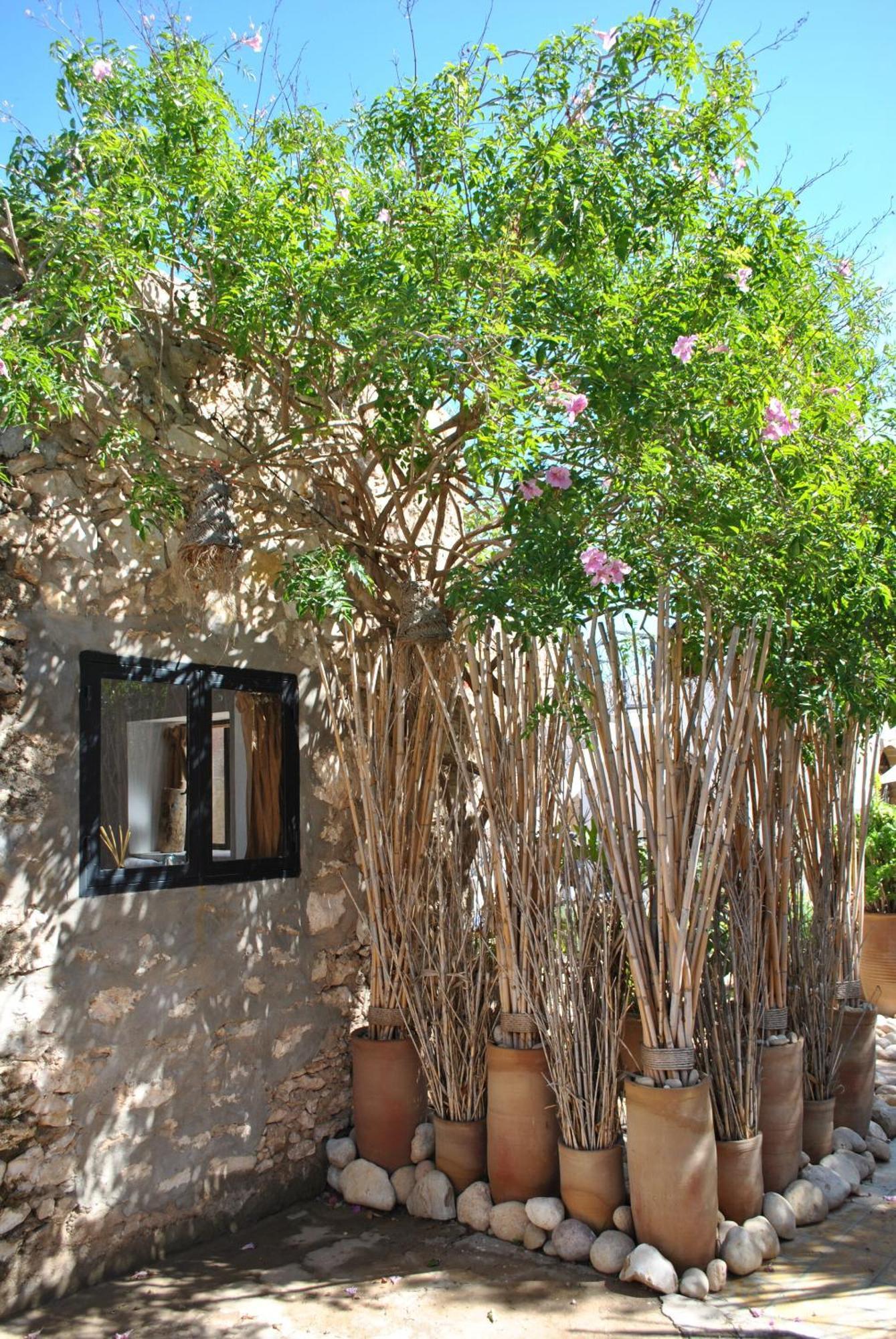 Maison Sidi Et Lalla Essaouira Bagian luar foto
