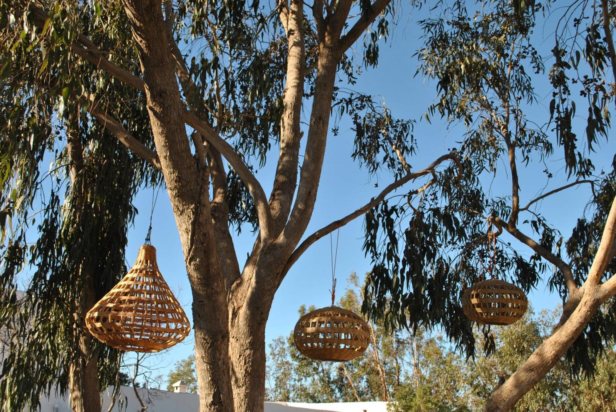 Maison Sidi Et Lalla Essaouira Bagian luar foto